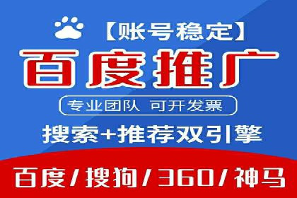 SEM运营推广助力行业领导地位